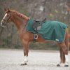 Bederní deka COMFORT do mokrého počasí s výřezem na sedlo (Velikost PONY, Barva night blue)