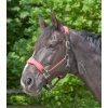 Premium Ohlávka Soft (Velikost PONY, Barva black)