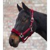 Premium Ohlávka Soft (Velikost PONY, Barva black)