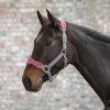 Premium Ohlávka Soft (Velikost PONY, Barva black)