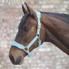 Premium Ohlávka Soft (Velikost PONY, Barva black)