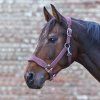 Premium Ohlávka Soft (Velikost PONY, Barva black)