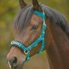 Lonžovací obnosek, syntetický (Velikost PONY, Barva pink)