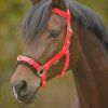 Lonžovací obnosek, syntetický (Velikost PONY, Barva pink)