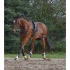 Lonžovací postroj (Velikost PONY-COB, Barva black)