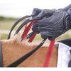 Náprsník Waldhausen Secutrust s bezpečnostními otěžemi (Velikost PONY, Barva black)