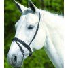 Anglický nánosník STAR (Velikost PONY, Barva black)