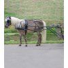Postroj Star Economic, pony a shetty (Velikost MINISHETTY, Barva black)
