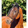 Maska proti hmyzu s ochranou uší Basic Waldhausen (Velikost PONY, Barva black (with ears))