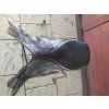 Stübben Siegfried ll.- skokové sedlo