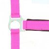Měkce podložená ohlávka Neon