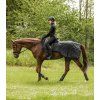 Bederní deka Exclusive Waldhausen (Velikost PONY, Barva black)