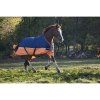 Výběhová deka Tyrex Equitheme 150g