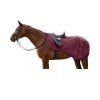 Jezdecká bederní deka Rom Waldhausen (Velikost PONY, Barva pastel blue)