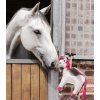 Emily the unicorn horse toy