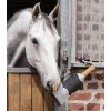 Horse toy champagne bottle