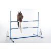 Drezurní kužely -Hobby Horsing- čísla pro parkur