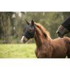 Maska proti hmyzu LAMI-CELL Lycra