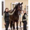 Zateplovací vesta Comfort Heat E·L·T (Velikost L, Barva black)