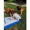 Brit Care Dog Hypoallergenic Adult Large Breed 12 kg