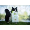 Brit Care Dog Sustainable Adult Medium Breed 12 kg