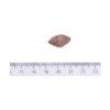 Brit Care Dog Sustainable Activity 12 kg