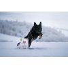 Brit Care Dog Sustainable Activity 3 kg
