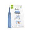 Brit Care Dog Sustainable Adult Large Breed 3 kg