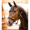 Provazová ohlávka s pohyblivým kroužkem Waldhausen (Velikost PONY, Barva black)