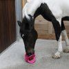 Bizzy Ball (Barva pink)