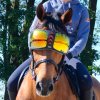Ochrana očí, brýle pro koně Equick eVysor - Orange