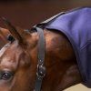 Fleece deka s krkem a křížovým zapínáním Imperial Riding Fundamental, Navy