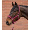 Ohlávka s vodítkem Velvet - Waldhausen (Velikost PONY, Barva black)