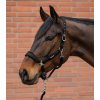Ohlávka s vodítkem Velvet - Waldhausen (Velikost PONY, Barva black)