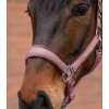 Ohlávka s vodítkem Velvet - Waldhausen (Velikost PONY, Barva black)