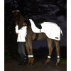 Reflexní bederní deka Waldhausen (Velikost PONY, Barva silver grey)