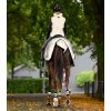 Reflexní bederní deka Waldhausen (Velikost PONY, Barva silver grey)