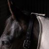 Fleece deka s krkem a křížovým zapínáním Imperial Riding Fundamental, Taupe