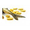 Dromy Omega 3 kapsle EPA & DHA 100 cps.